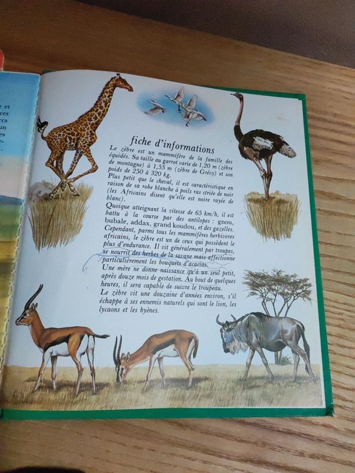 Lot de 2 livres mon amie - photo numéro 7