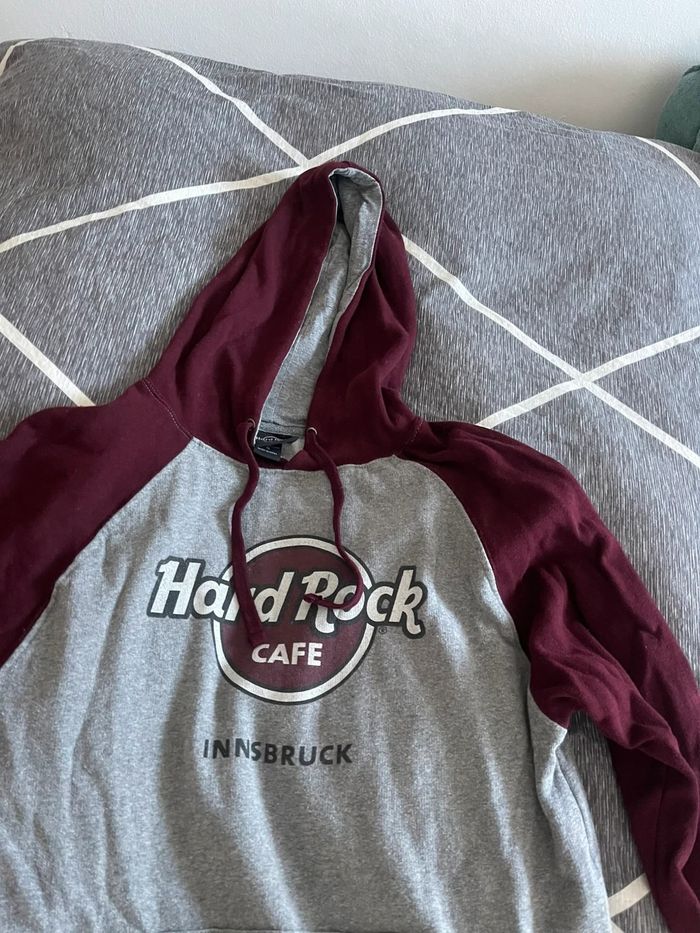 Pulli - photo numéro 2