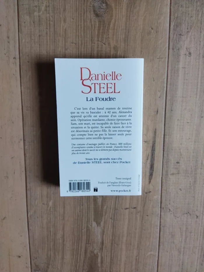 Danielle Steel La foudre - photo numéro 2