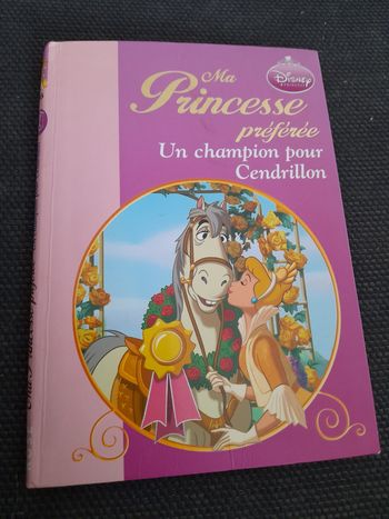 Un champion pour cendrillon
