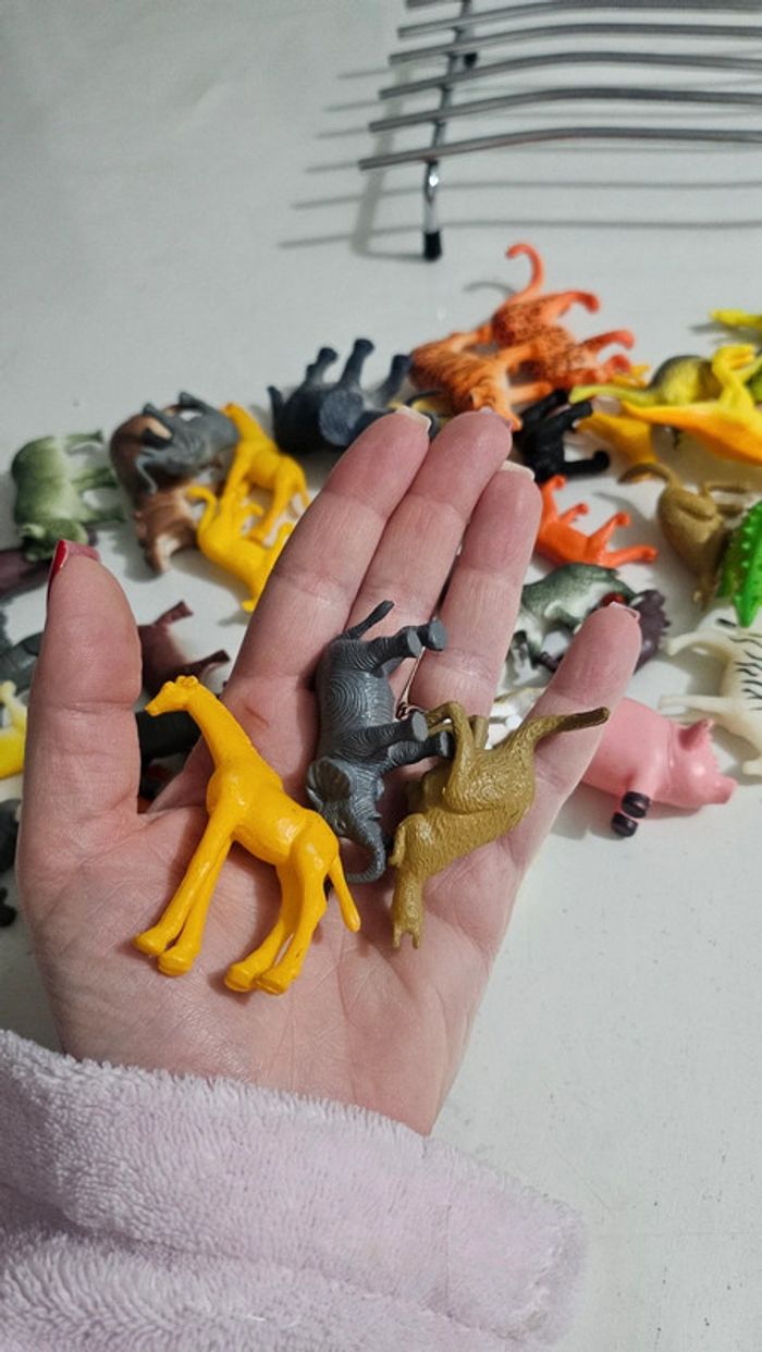 Lot animaux - photo numéro 4