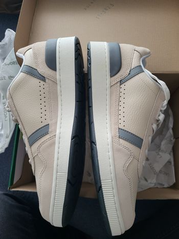 Baskets H lacoste