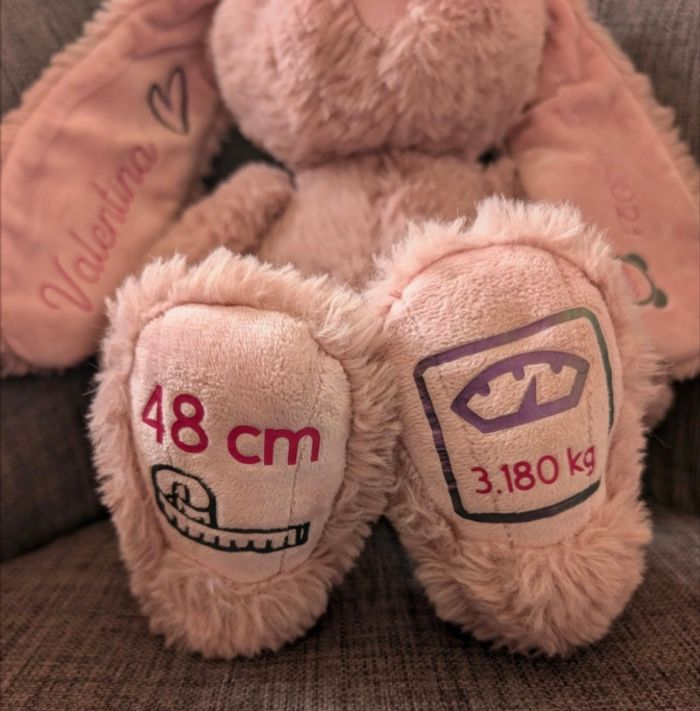 Lapin personnalisé - photo numéro 3