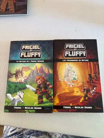 Lot de 2 livres
