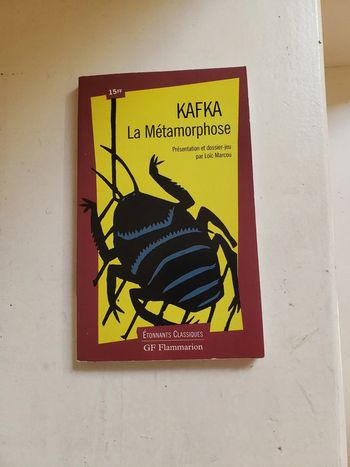 Livre la métamorphose de kafka