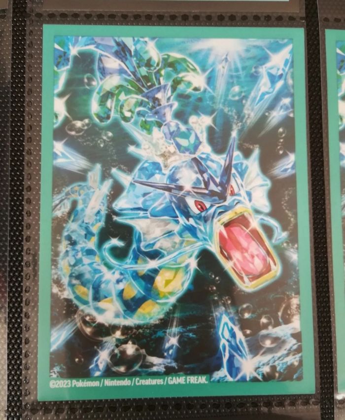 1 sleeve pokemon