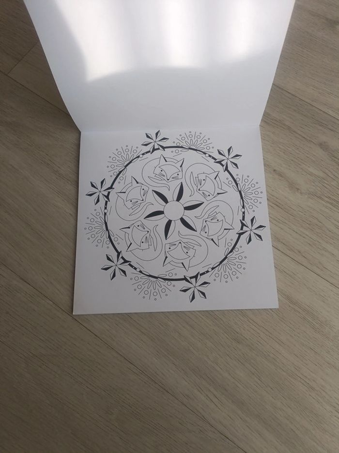 Livre de coloriage mandala - photo numéro 2