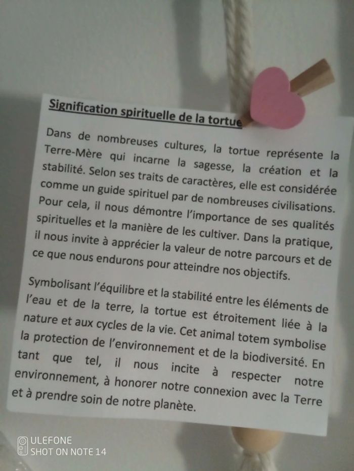 Collier pendentif tortue et pierre de lune - photo numéro 3
