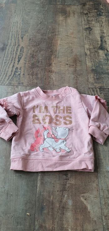 Pull Disney 24 mois en très bon état