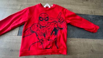 Sweat Spiderman 