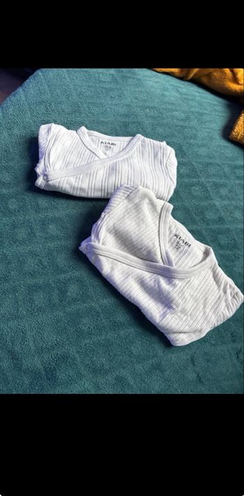 Lot bodies