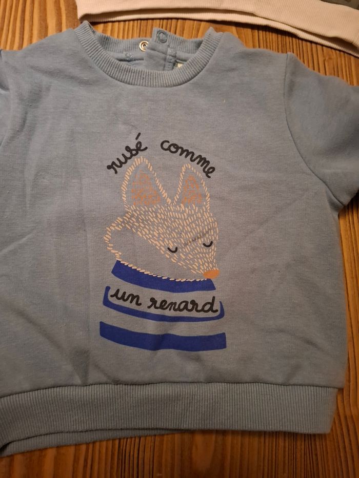 Lot de 3 sweats 18 mois TAO - photo numéro 3