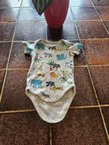 Body manches courtes