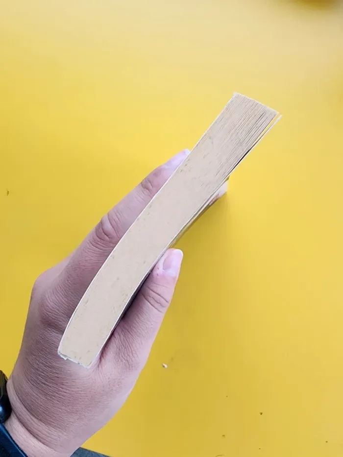 Livre de poche "la vie d'une autre" de Frédérique Deghelt - photo numéro 4
