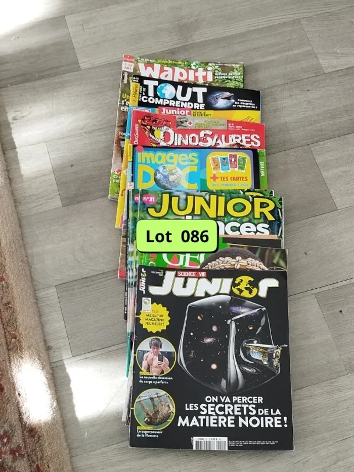Lot de 13 magazines pour jeunes et ados L086