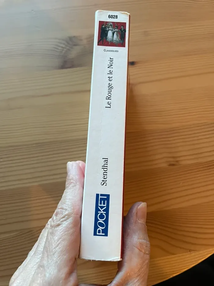 Le Rouge et le Noir de Stendhal Texte ingral - photo numéro 2