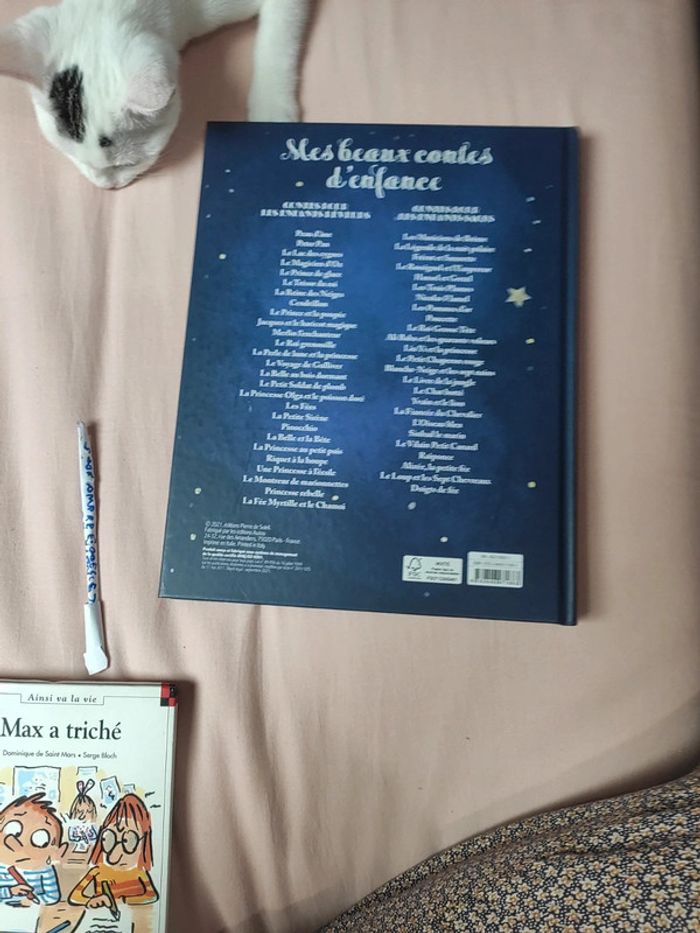 Livre de contes - photo numéro 3