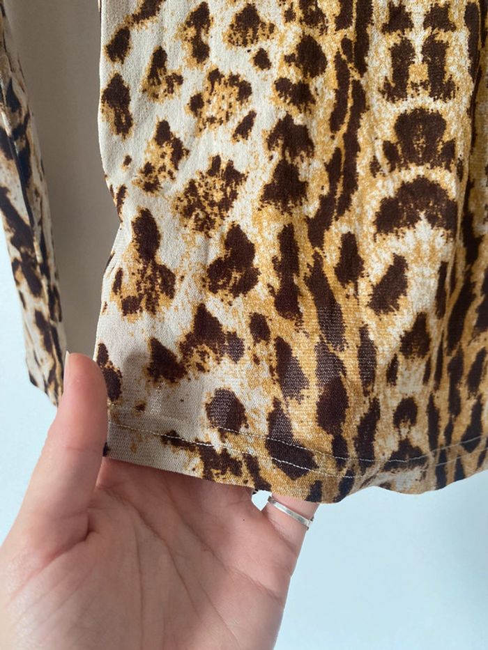 Morgan leopard - photo numéro 10