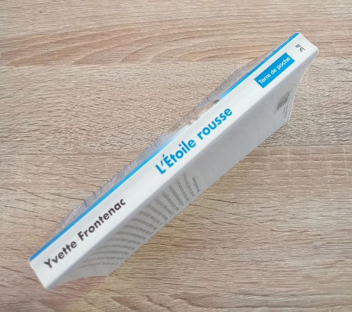 Yvette Frontenac 🪅 L'étoile rousse - photo numéro 3