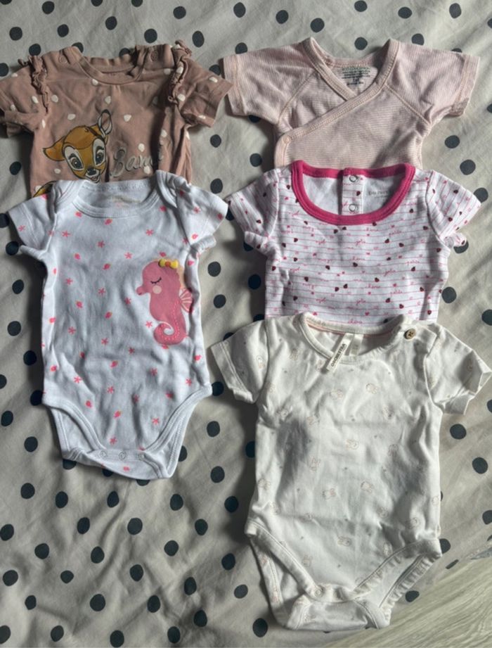 Lot 5 bodies