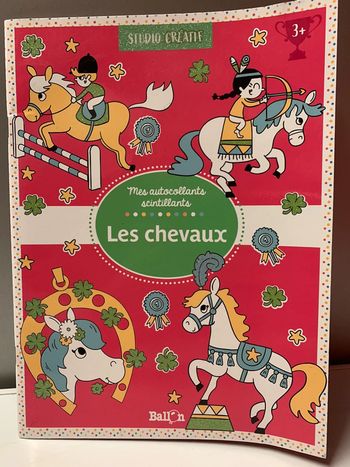 Livre studio créatif Les chevaux