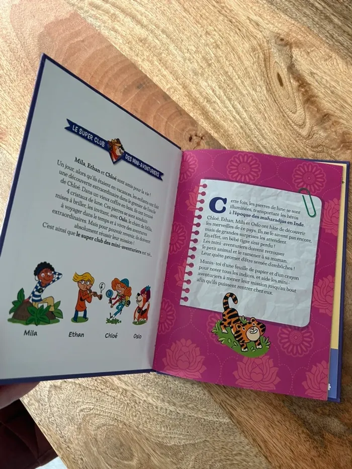 Le tigre de taj mahal - photo numéro 2