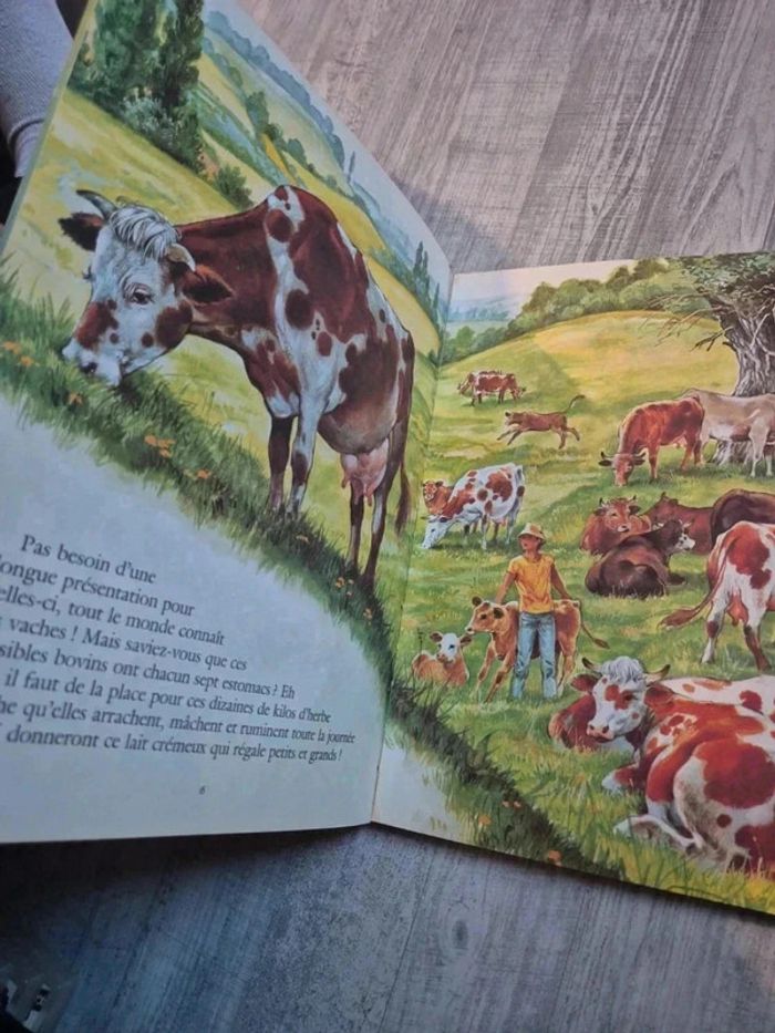 Livre - photo numéro 3