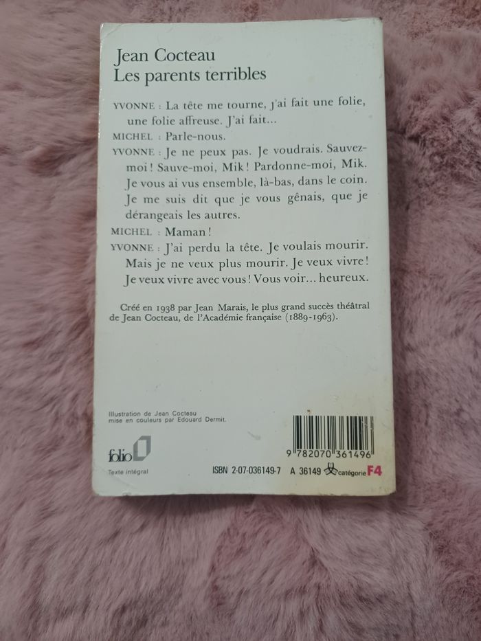 Livre: les parents terribles - photo numéro 6