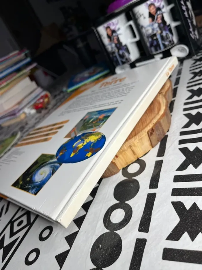 Livre La Terre - photo numéro 5