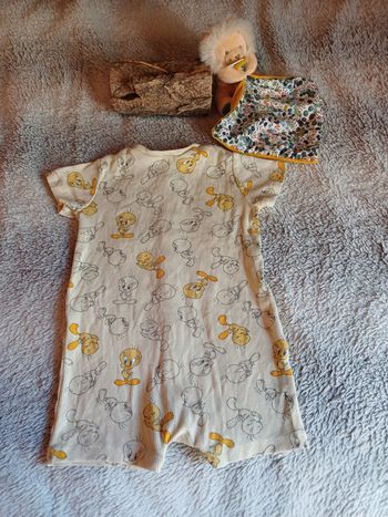 Grenouillère bébé garçon taille 9/12 mois zara looney tunes