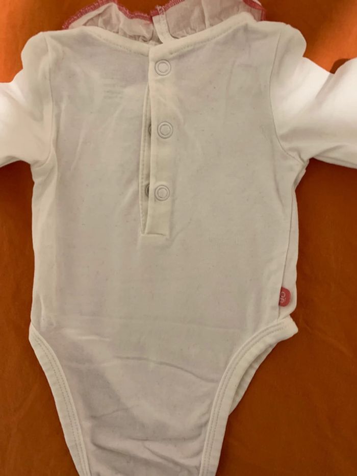 Body koala - photo numéro 2