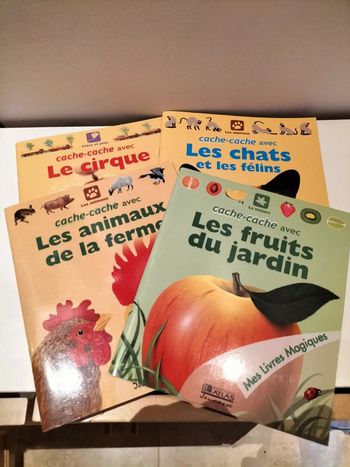 Lot de 4 livres magiques - cache-cache