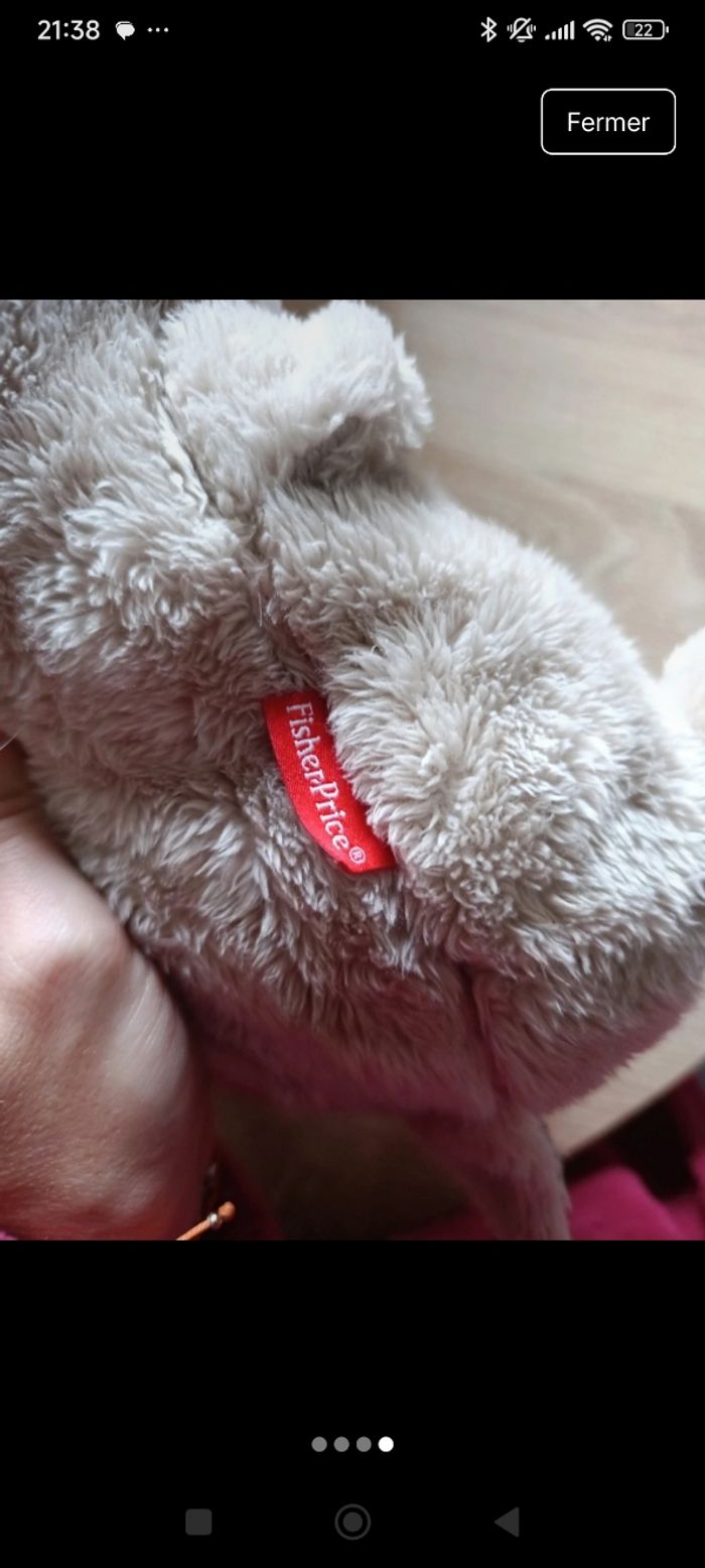 Loutre Fisher Price - photo numéro 4