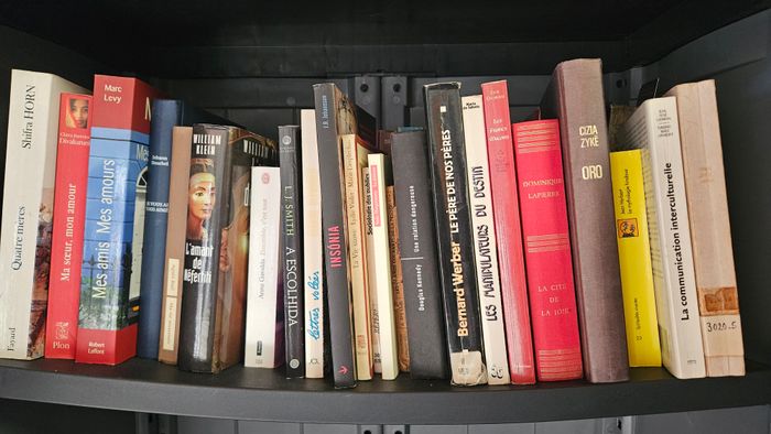 Plusieurs livres - photo numéro 8