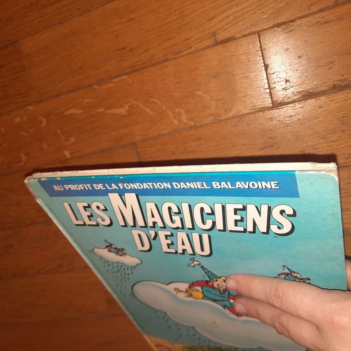 Les magiciens d'eau / Daniel Balavoine - photo numéro 6