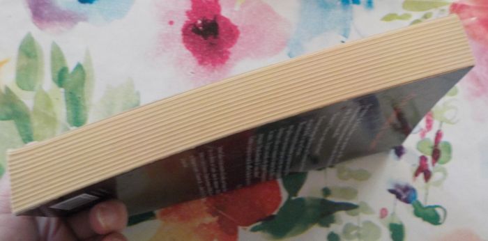 "ON M'A DEMANDE DE VOUS CALMER" par Stéphane GUILLON Ed. Stock - photo numéro 5