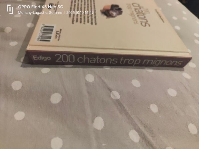 200 chatons trop mignons Réduction jusqu'à -70% - photo numéro 3