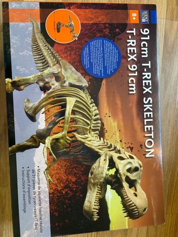 Squelette Dinosaure T-REX 91cm