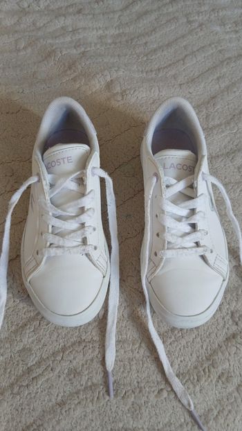 Basket mixte lacoste