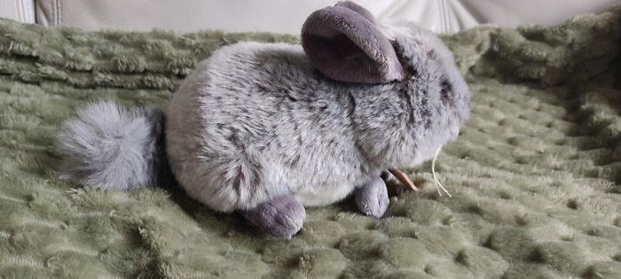 Peluche cincilla push et company neuve - photo numéro 5