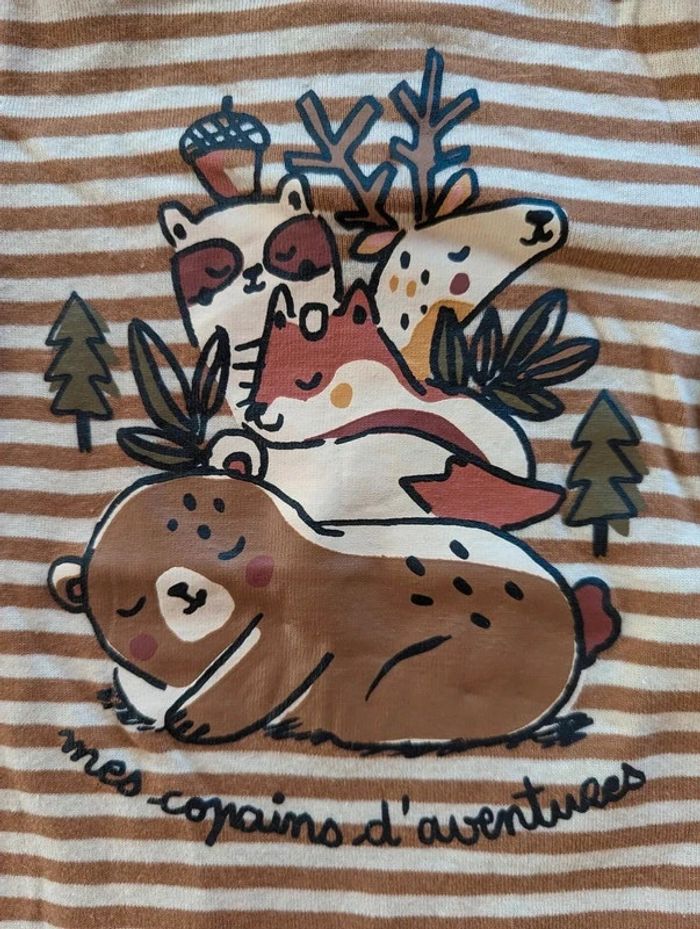 Ensemble chaud 🐻 DPAM - photo numéro 4