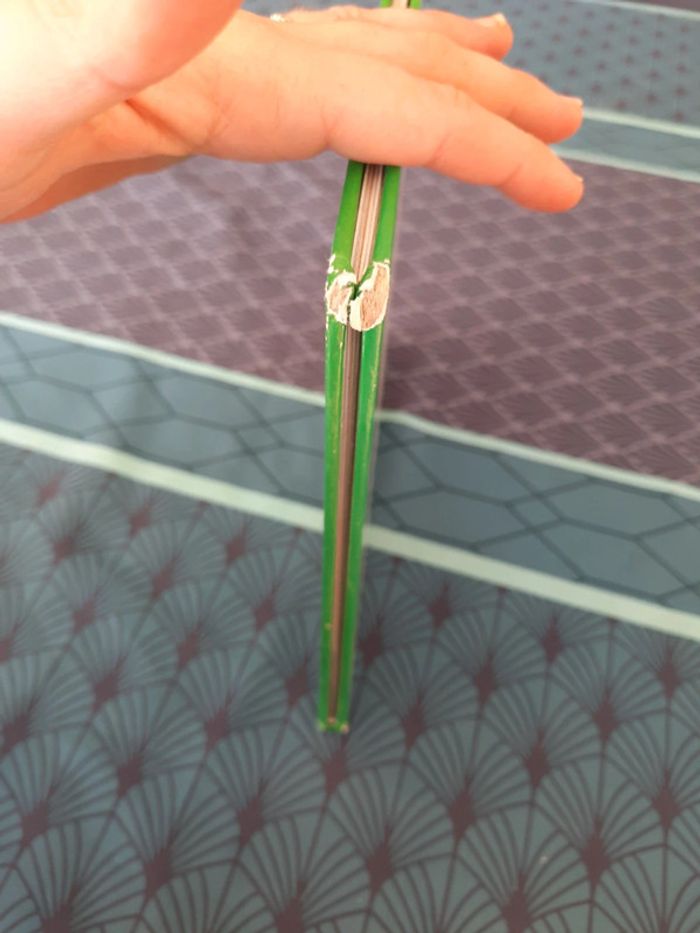 Poucette de Hans Christian Andersen - photo numéro 8