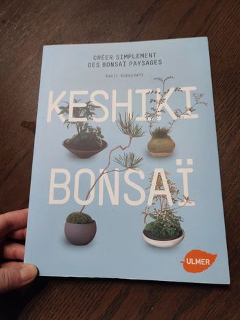 keshini bonsaï