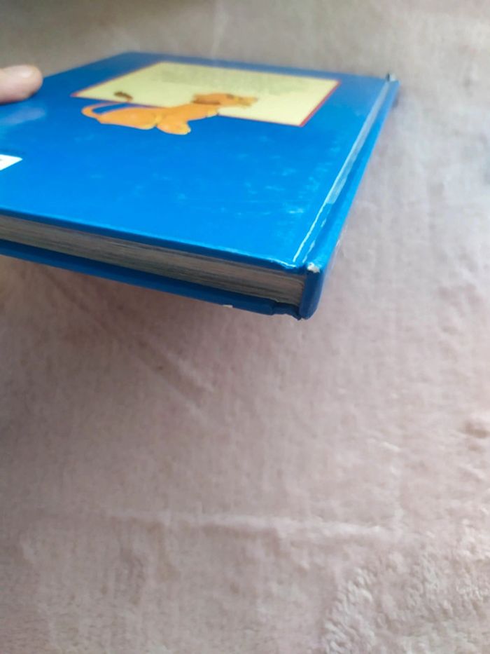 Livre Roi Lion - photo numéro 4