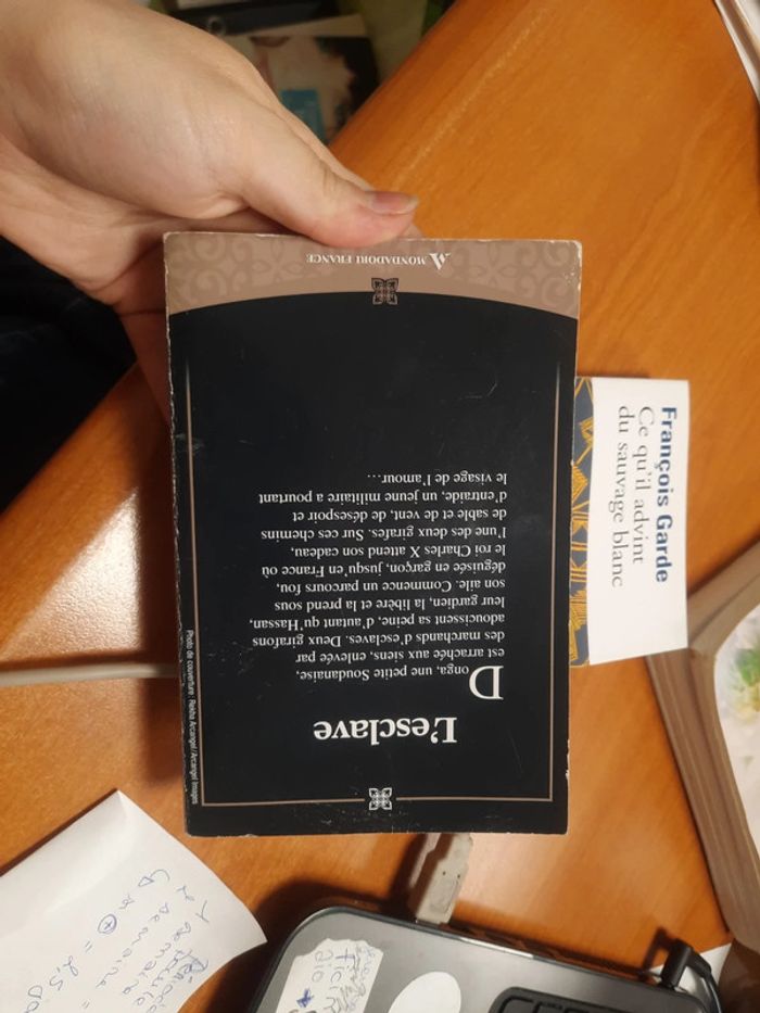 L'esclave Marie l'archer et sauvage blanc - photo numéro 2