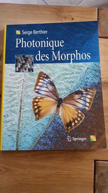 Photonique des Morphos