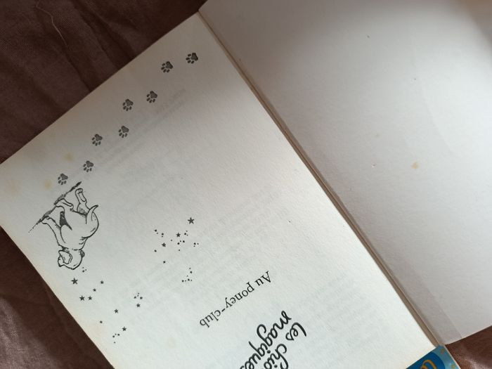 Lot de 2 livres enfants les chats et chatons magiques - photo numéro 3