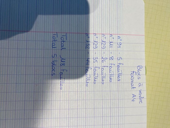 Lot 5 blocs Diddl - photo numéro 4