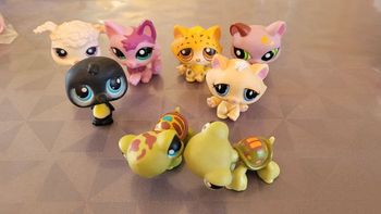 Lots de pet shop