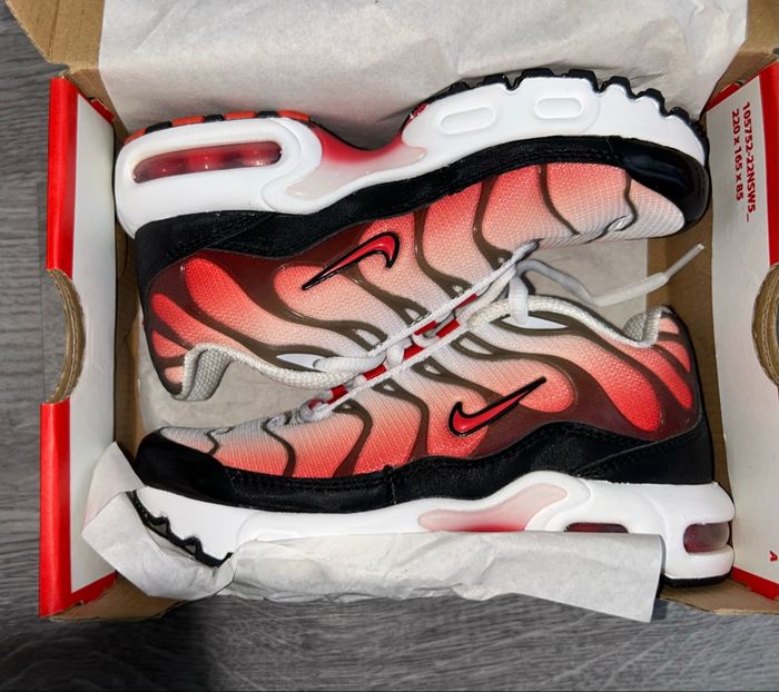 Nike air Max plus